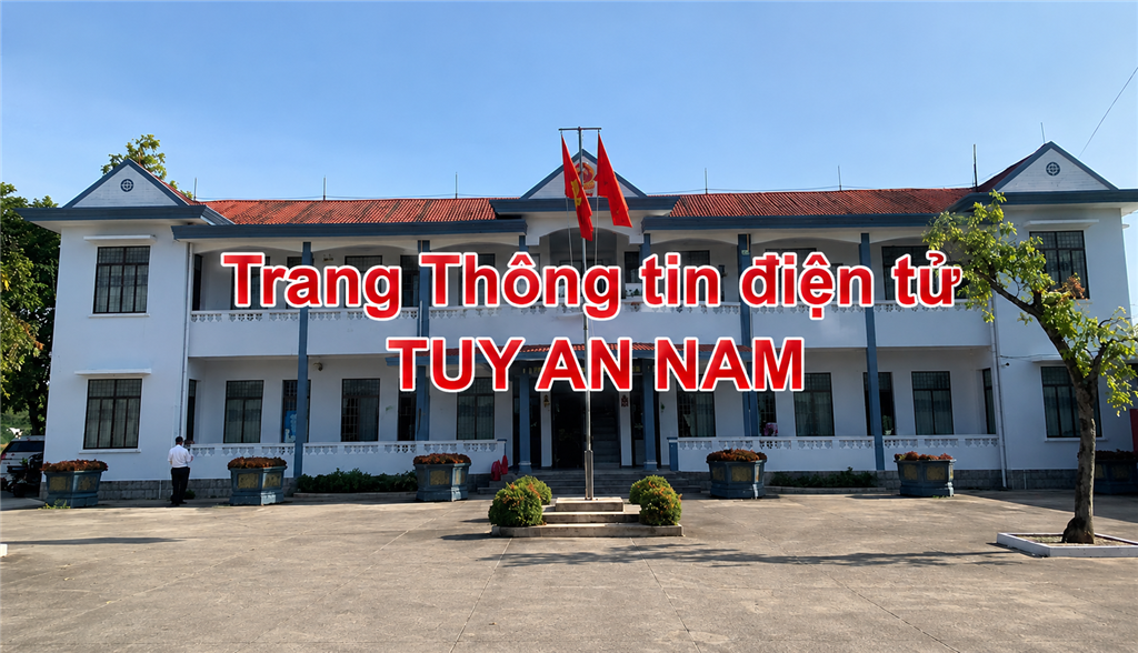 image banner